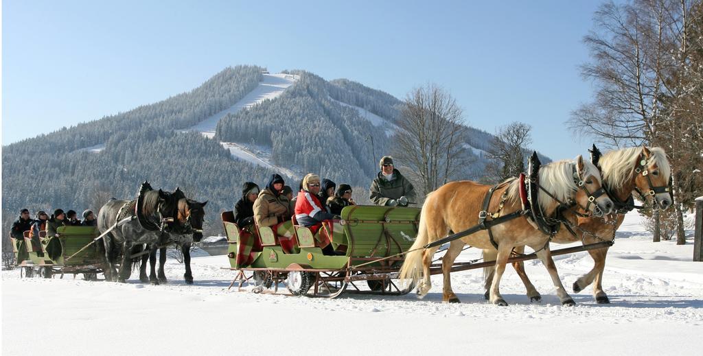 Hotel Pension Residence Ramsau am Dachstein Kültér fotó